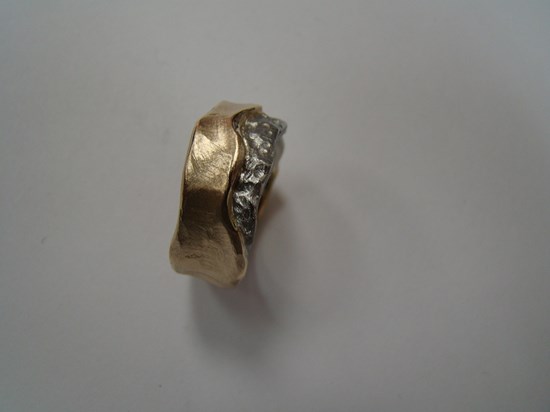 Brushed Two-Tone Gold Ring Image